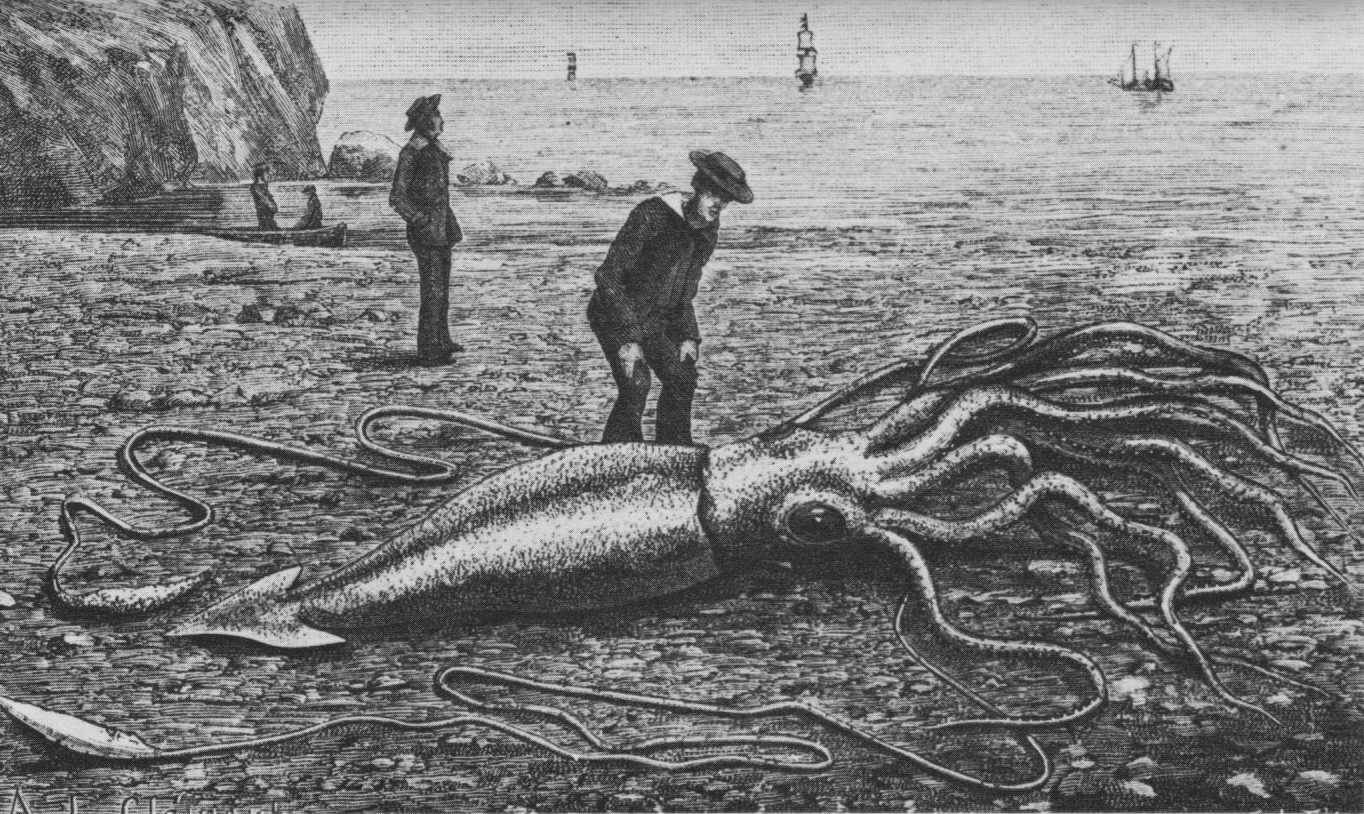 Complex Problems Are Like Giant Squid
